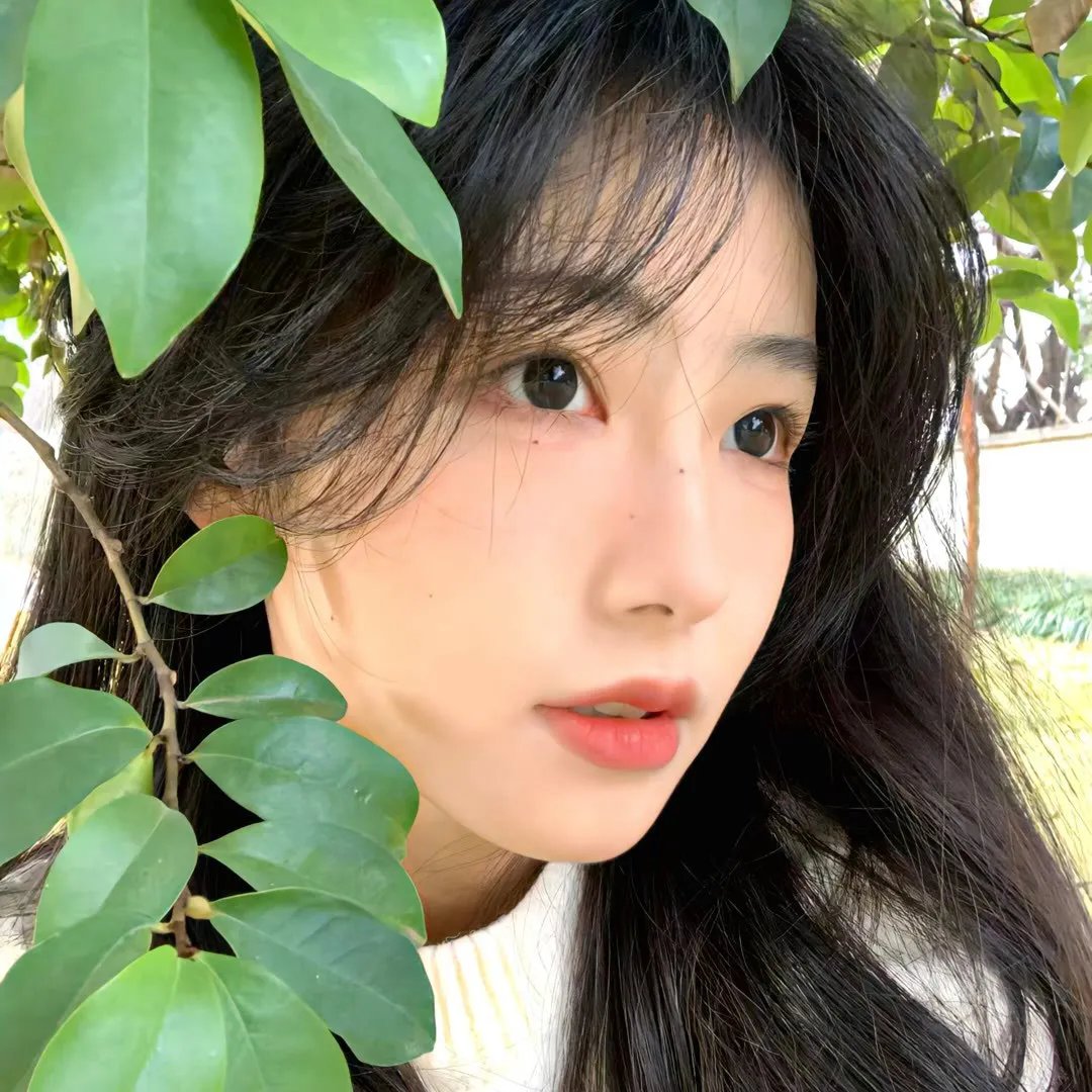 女生万岁第一季 封面